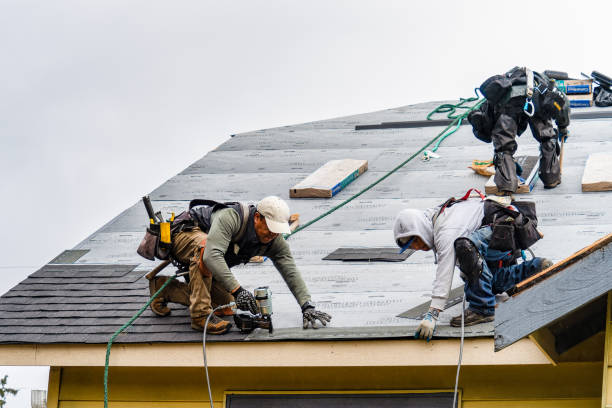 Professional Roofing technician working in Bushnell, IL